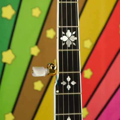 Epiphone Earl Scruggs Golden Deluxe Banjo (Incl. Hard Case) image 7