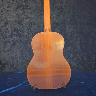 Vintage 1976 Di Giorgio Tárrega – Rare "Black Label" Model – João Gilberto Era image 7