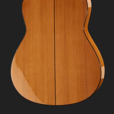 Juan Hernandez Profesor Spruce Flamenca Spanish Flamenco Guitar image 2