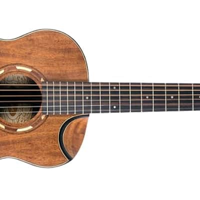 Washburn Comfort G-Mini 55 Koa Natural w/ Gig Bag image 2