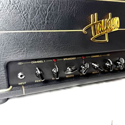 Hayden Speakeasy 50 watt Guitar Tube Amplifier image 3