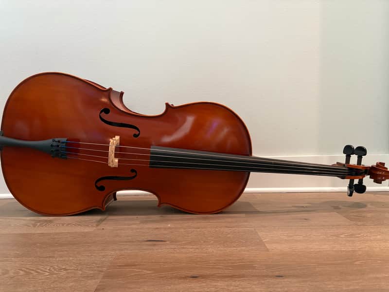 Eastman VC100 2016 image 1