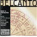 Thomastik-Infeld BC62 Belcanto Orchestra Double Bass D String - 3/4 Size Medium Tension