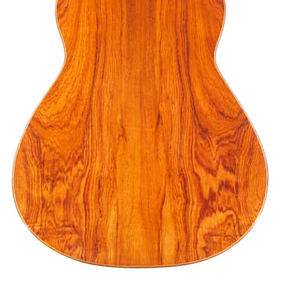 Gerardo Escobedo 2018 - absolutely stunning classical guitar - lightweight, lively and explosive - check video! image 10