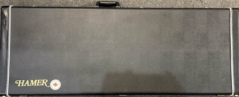 Hamer Left-Handed Hamer Explorer Hard Case - Black image 1