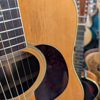 Hohner International Limited Edition HG310 Dreadnought Acoustic Guitar image 7