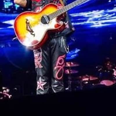 Jesus Garibay Bajoquinto Beto Acosta Replica - Cherry Burst image 9