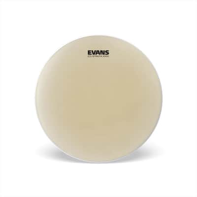 Evans Strata 1000 Snare Drum Batter Head | 14" image 1