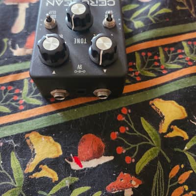 Aion Cerulean amp overdrive 2022 - Black white lettering image 2
