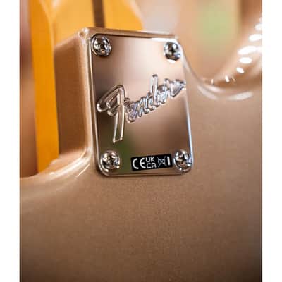 Fender American Professional Classic Stratocaster, Maple Fingerboard, Faded Firemist Gold image 19