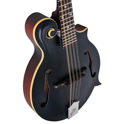 The Loar LM-549-BKM - Matte Black image 5