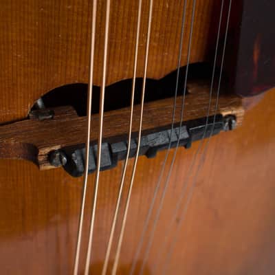 Vivi-Tone Hollow Body Electric Mandolin (1933), ser. #301, original black chipboard case. image 18