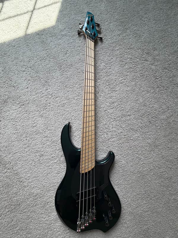 Dingwall NG2 Adam "Nolly" Getgood Signature 5-String