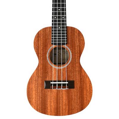 Twisted Wood PI-100C Pioneer Concert Ukulele Laminate Sapele w/ Gig Bag image 4
