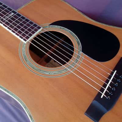1976 Yairi YW-600 Dreadnought Guitar New Jacaranda + Yairi Hard Case image 20