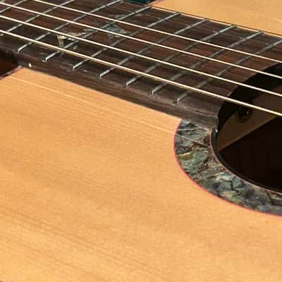 Washburn Bella Elegante S24S Solid Spruce Top Parlor Size Acoustic Guitar image 19