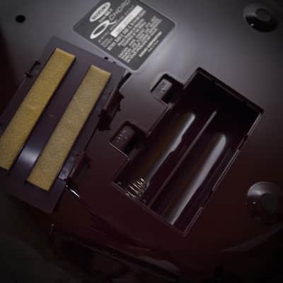 Suzuki QC-1 QChord with Original Strap image 10
