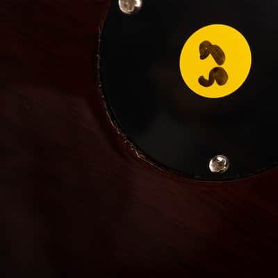 Gibson Slash "Victoria" Les Paul Standard, Gold Top | Demo image 17