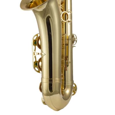 Prelude by Selmer PTS111 Student Tenor Saxophone Outfit (FIREWORKS26) image 4