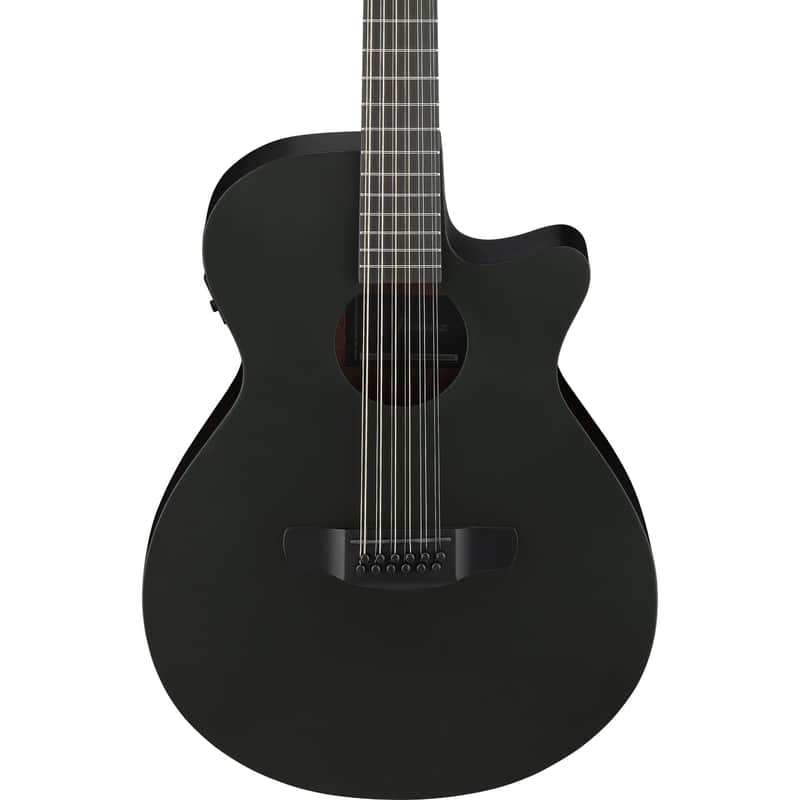 Ibanez AEG1221 12-string Acoustic-Electric Guitar - Black Out image 1