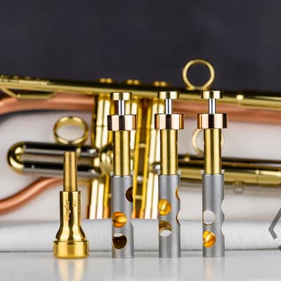 Taylor 46 Balladeer Bb trumpet / flugelhorn hybrid 2020, matte lacquer image 12