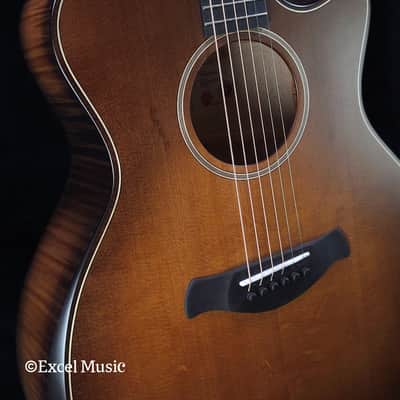 Taylor Builder's Edition 614ce WHB, Solid Flamed Big Leaf Maple Back & Sides, w/Deluxe Hardcase (NOS) image 8