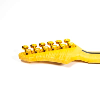 Vigier Excalibur Surfreter Fretless Electric Guitar Owned by Kiko Loureiro image 19