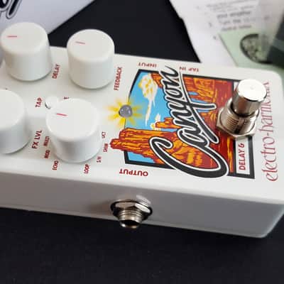 Electro-Harmonix Canyon Delay w/Power Supply 2017 - Present - White image 3