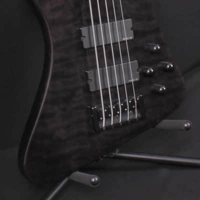 Spector Rex Brown Signature 5-String Bass with Gig Bag image 3