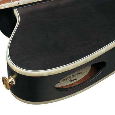 Ibanez TOD10N TKF Transparent Black Flat image 9