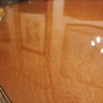 Ovation EA 1996 - Natural image 2