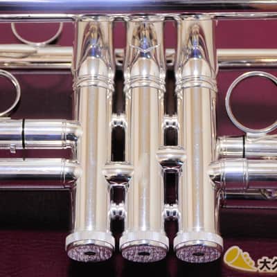 Brasspire Unicorn BPTRC-1000S (New) C Trumpet image 13