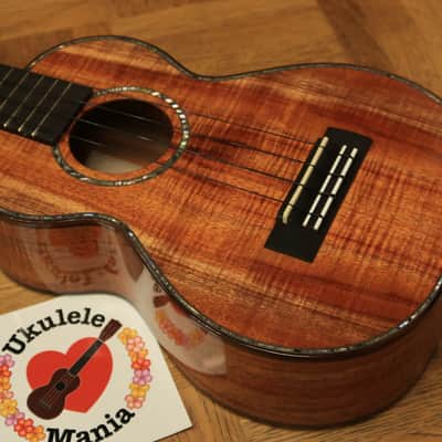 Kamaka HF 2D2I 100 Custom Slot head Concert Ukulele with Paua Shell Binding #3217 2016 Gloss Finish image 7