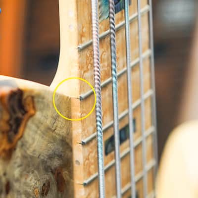 Fodera Custom Imperial Elite 5-Buckeye Burl Top w/5-Piece Maple Neck, Birdseye Maple FB & Abalone Block Inlay image 9