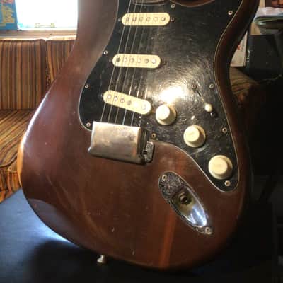 Fender Stratocaster 1974 Walnut mocha image 4