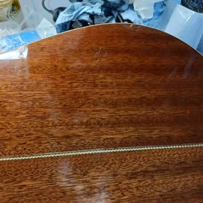 Seagull 25th Anniversary Mahogany/Spruce HG 2008 - Clear image 10