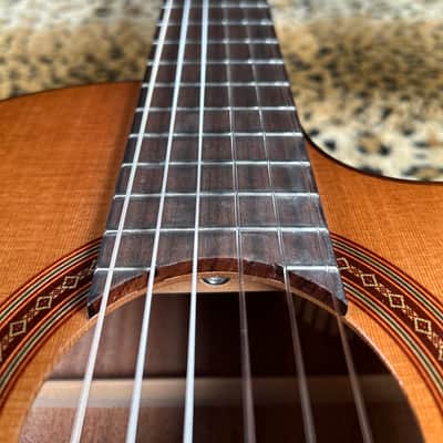 Cordoba C5-CE Classical with Electronics 2025 - Natural image 11