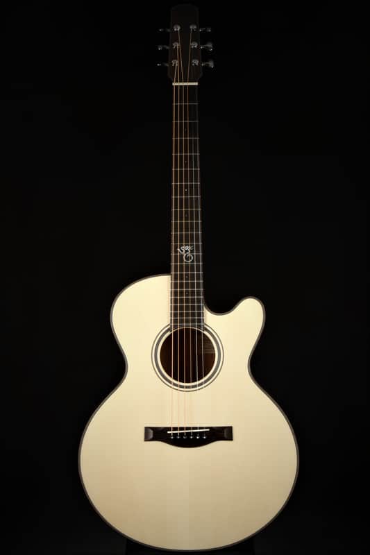 ON HOLD - Santa Cruz FS (Fingerstyle) MC Custom image 1