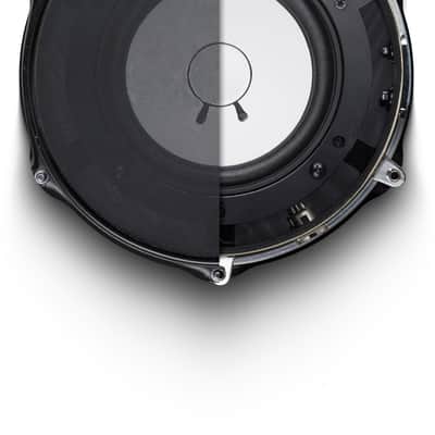 Avantone KICK image 2