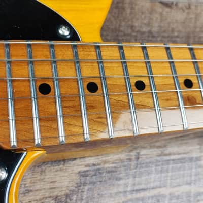 MyDream  Partcaster Custom Built - Telecaster Swamp Ash Butterscotch SD Zebra SH-1N image 6