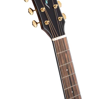 Cort Gold OC6-BO | All-Solid Acoustic / Electric OM Guitar w/ Case. New with Full Warranty! image 3
