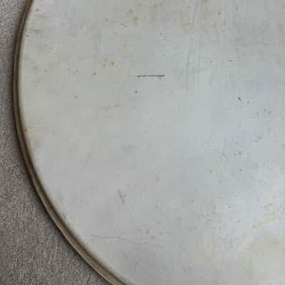 Slingerland Vintage Radio King 24” Genuine Calf Skin Bass Drum Head Lot #1 40s - Calf skin image 3