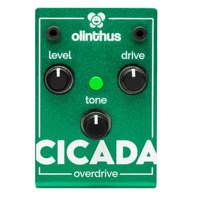 Olinthus Cicada Overdrive 2024 - Present - Green image 4