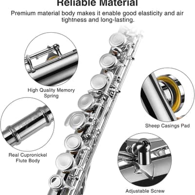 POGOLAB Closed Hole C 16 Keys Flute Instrument Kitchen Student Flute for Beginner Advanced Player image 2