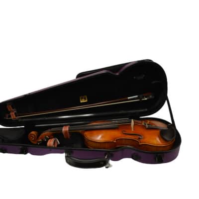 Vienna Strings Violin 4/4 European Tradition Berlin Special image 7