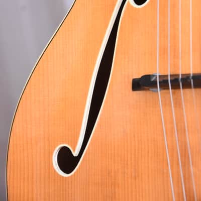 Framus Missouri 5/60-59 – 1960 German Vintage Archtop Jazz Guitar image 7