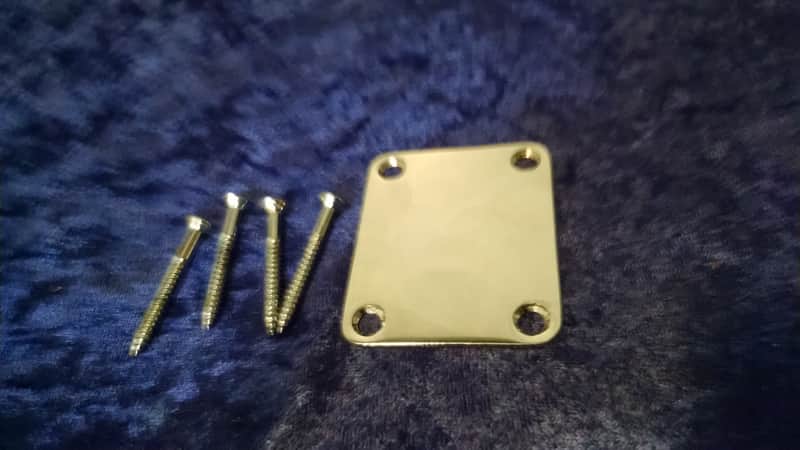 1990s Mighty Mite Chrome Neck Plate w/screws image 1