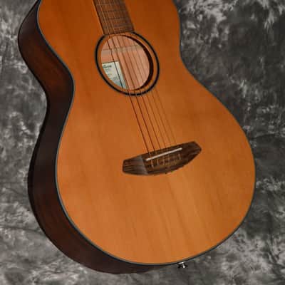 2022 Breedlove - Discovery S Concertina imagen 1