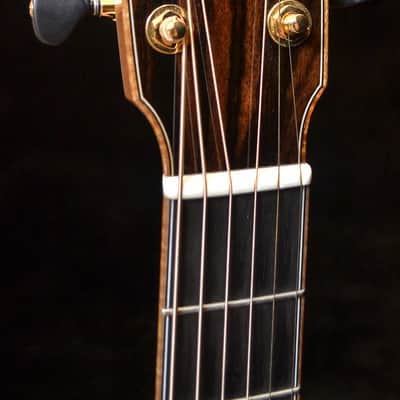 Baden - American Made TJ Baden Guitar Madagascar image 16