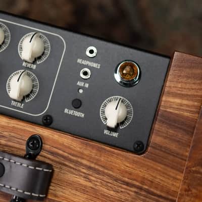 Taylor Circa 74 AV150-10 Amp With Stand - Select Koa image 14